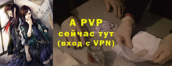 дмт Майский