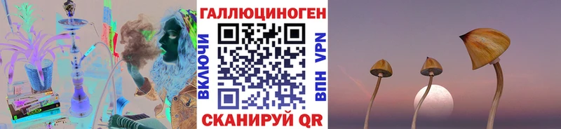 Галлюциногенные грибы Magic Shrooms  блэк спрут ссылки  Реж 